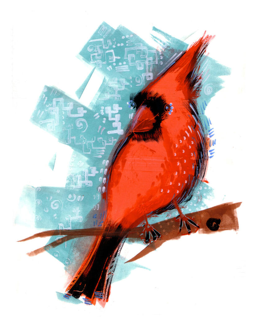 Personal piece as part of a series on birds. A Red cardinal sits on a branch with a teal background.